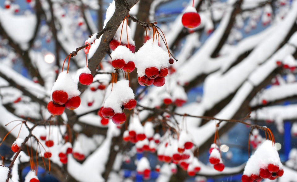 How to accurately measure snowfall