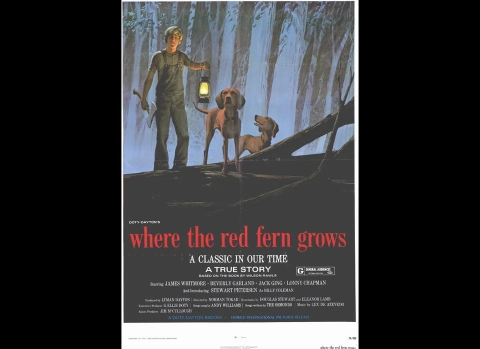 40 Movies You Might Regret Showing Your Kids Huffpost Life might regret showing your kids