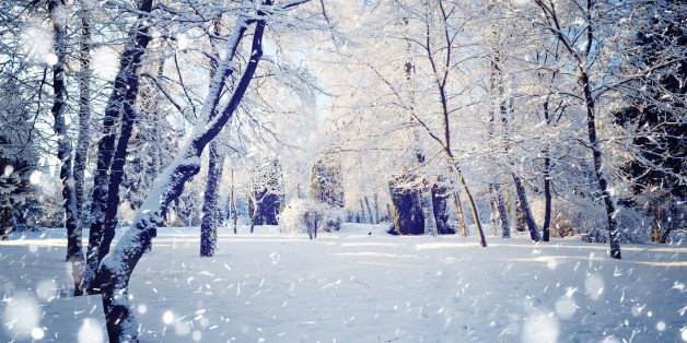 best winter scenery
