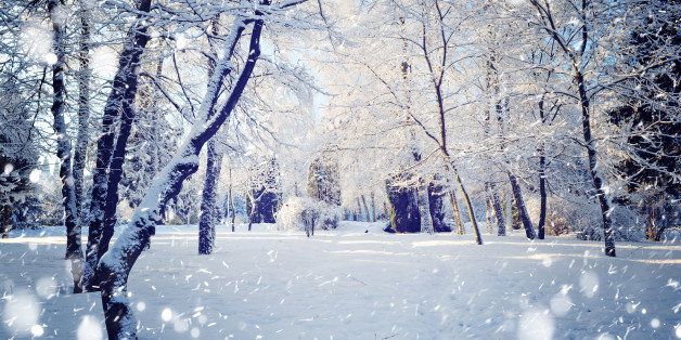 pictures of winter scenes