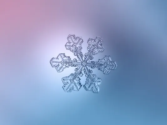 Snowflakes All Fall In One of 35 Different Shapes, Smart News