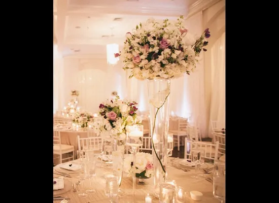 Tracy Taylor Ward Design, Wedding Planner / Designer