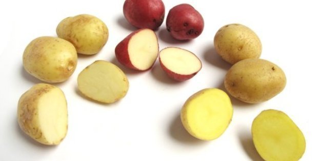 Red Potato Size Chart