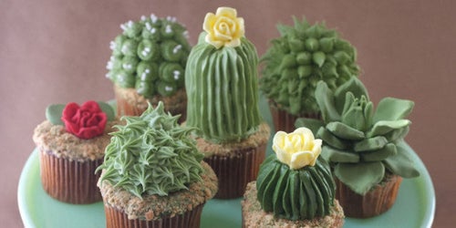Cactus Cupcakes Make Us Want To Move To The Desert | HuffPost Life
