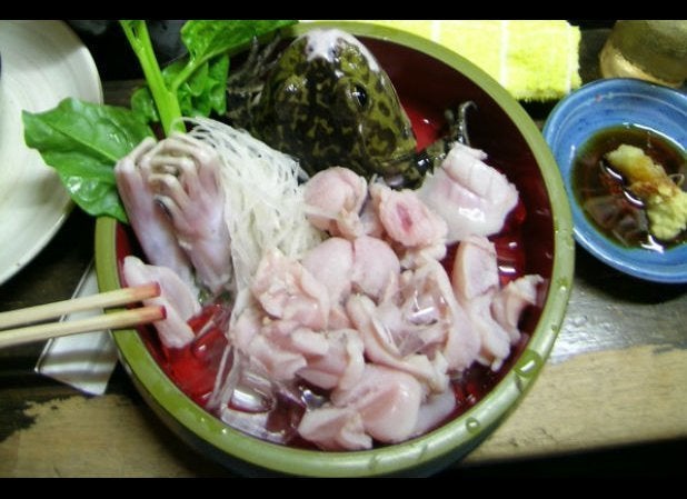 Animals That Are Eaten Alive Around the World | HuffPost Life Animals That Are Eaten Alive Around the World | HuffPost Life