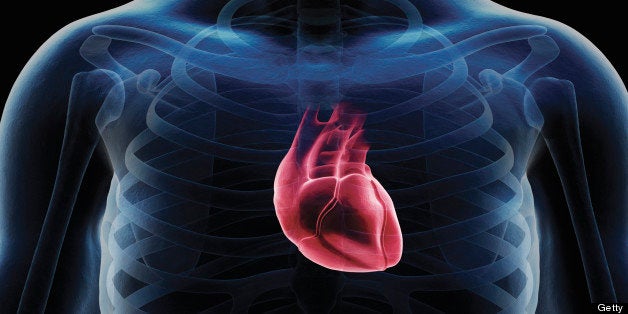 Digital composite showing human heart and skeleton, in a man's body.