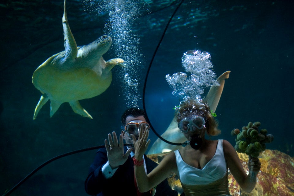 Fran Calvo and Monica Fraile wed underwater at the Sea Life Aquarium in 2012 in Benalmadena, Spain.