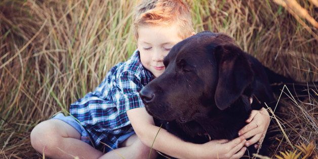 7 Reasons Why We Should Be Giving More Hugs | HuffPost Life
