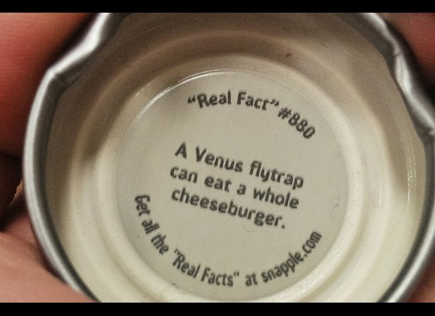 5 Untrue Snapple Facts Huffpost Life