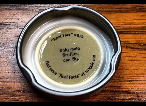 5 Untrue Snapple Facts Huffpost Life