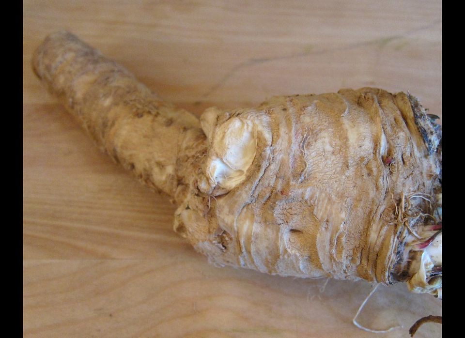 Horseradish root from the farmers' market