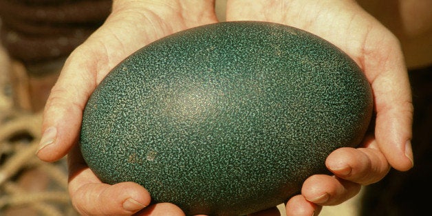 Emu Eggs Are Crazy Looking And They Might Be The Next Big Thing Huffpost Life