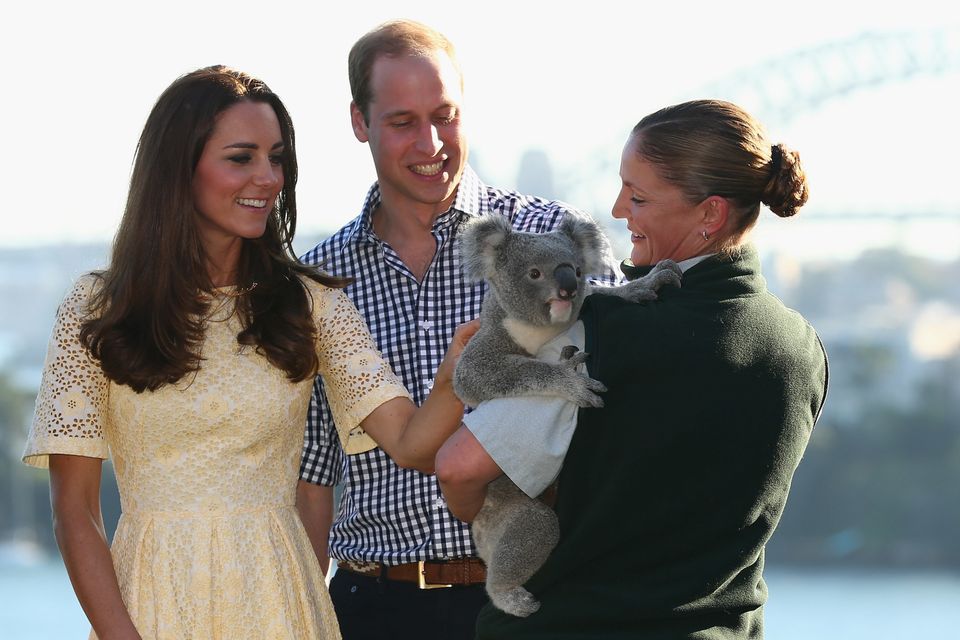 The Duke And Duchess Of Cambridge Tour Australia And New Zealand - Day 14