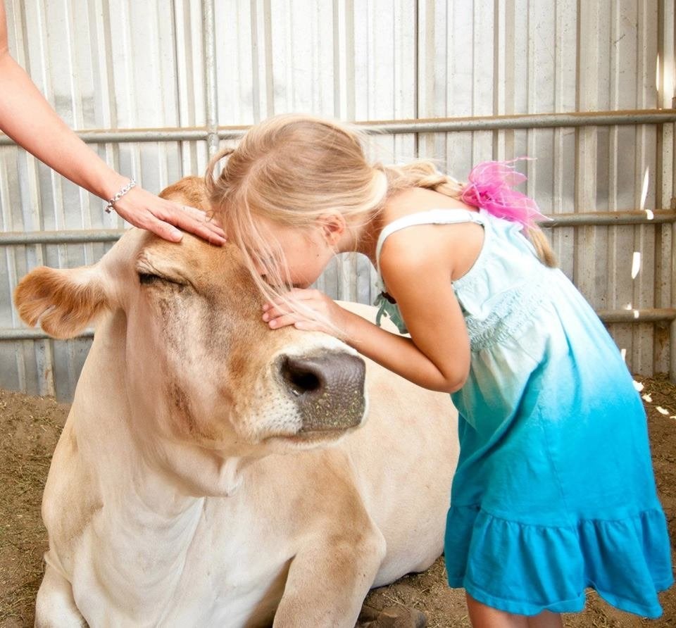 Pack Your Trunks: Here Are 20 Perfect Trips For People Who Love Animals | HuffPost Life Pack Your Trunks: Here Are 20 Perfect Trips For People Who Love Animals | HuffPost Life
