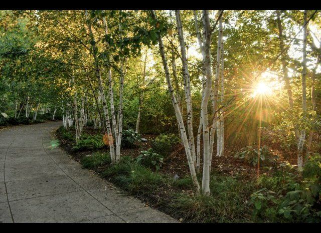 Olbrich Botanical Gardens— Madison, Wis.