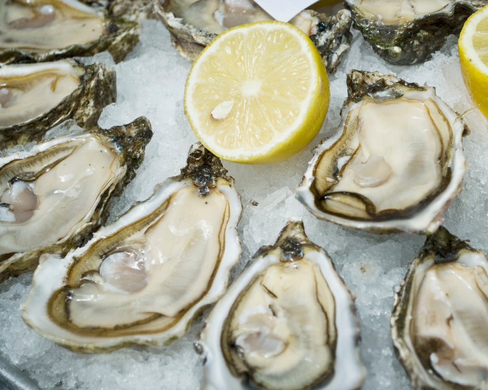 Oysters