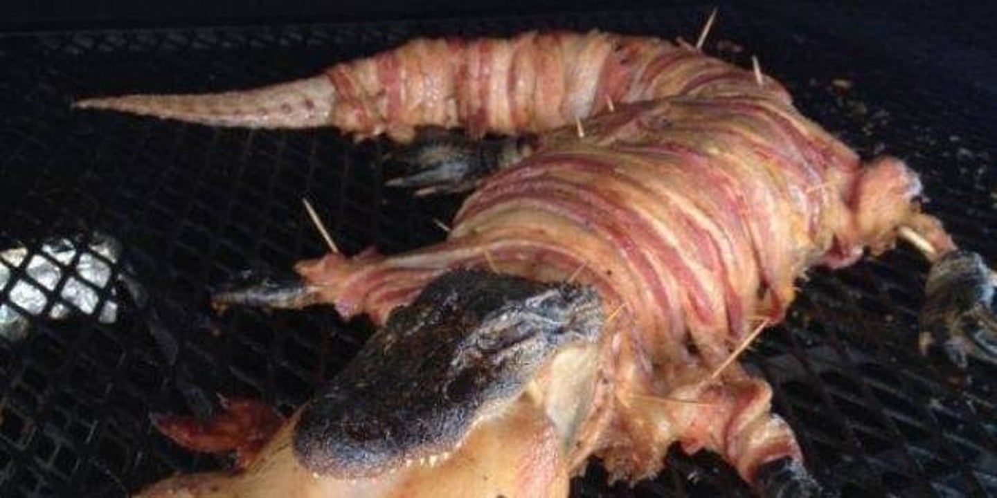 this-is-what-a-bacon-wrapped-alligator-with-a-chicken-in-its-mouth