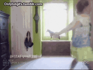 15 Funny Gifs ~ Funny, Freaky & Fanciful Fails