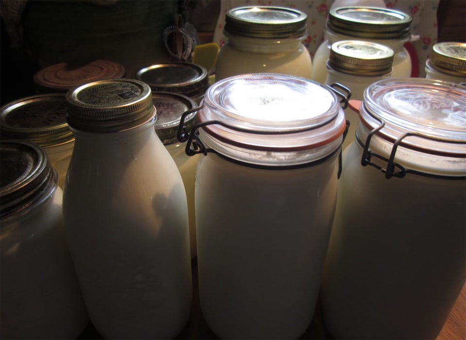 THE RAW MILK DEBATE - Kitchen Theory