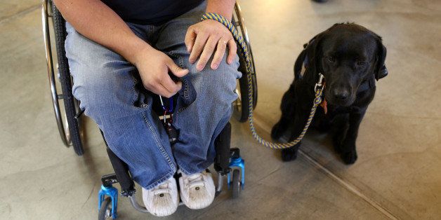 SANTA ROSA, CA - NOVEMBER 20: Andrew Pike, a veteran of the U.S. Army 82nd Airborne who was shot and paralyzed during the Iraq war, sits with his new service dog 'Yazmin' while training at the Canine Companions for Independence training center November 20, 2009 in Santa Rosa, California. Andrew Pike, 23, was instantly paralyzed in 2007 when he was shot by sniper fire while on patrol in Iraq. Confined to a wheelchair and seeking more independence, Pike learned about Canine Companions for Independence, a nonprofit that matches service dogs with disabled people that need assistance. The organization has trained more than 3,200 dogs for disabled children and adults and has matched dogs with 44 wounded military veterans. (Photo by Justin Sullivan/Getty Images)