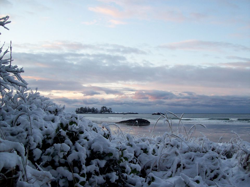 <strong>Tofino storm watching in winter</strong>