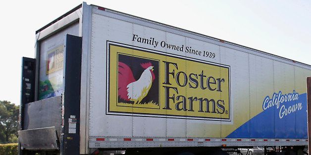 FILE - This Oct. 10, 2013 file photo shows a truck entering the Foster Farms processing plant in Livingston, Calif. An outbreak of antibiotic-resistant salmonella linked to a California chicken company is ongoing after more than a year, with 50 new illnesses in the last two months and 574 sickened since March 2013. The federal Centers for Disease Control and Prevention says there are about eight new salmonella illnesses linked to the outbreak a week, most of them in California. So far, there has been no recall of Foster Farms chicken. (AP Photo/Rich Pedroncelli, File)