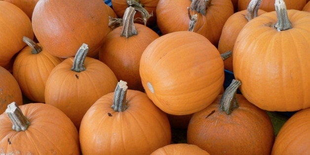 Sugar pumpkins at a market along the road to the cottage.