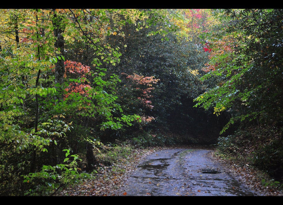 Great Smoky Mountains National Park