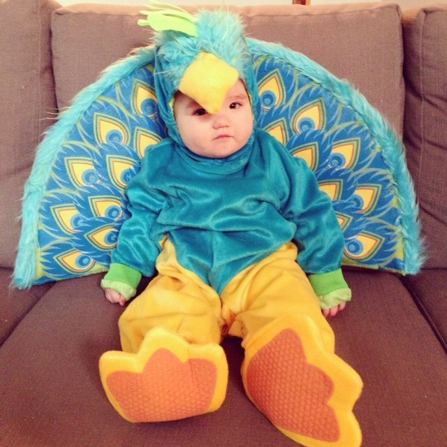 Perfect Lil Peacock Infant Costume