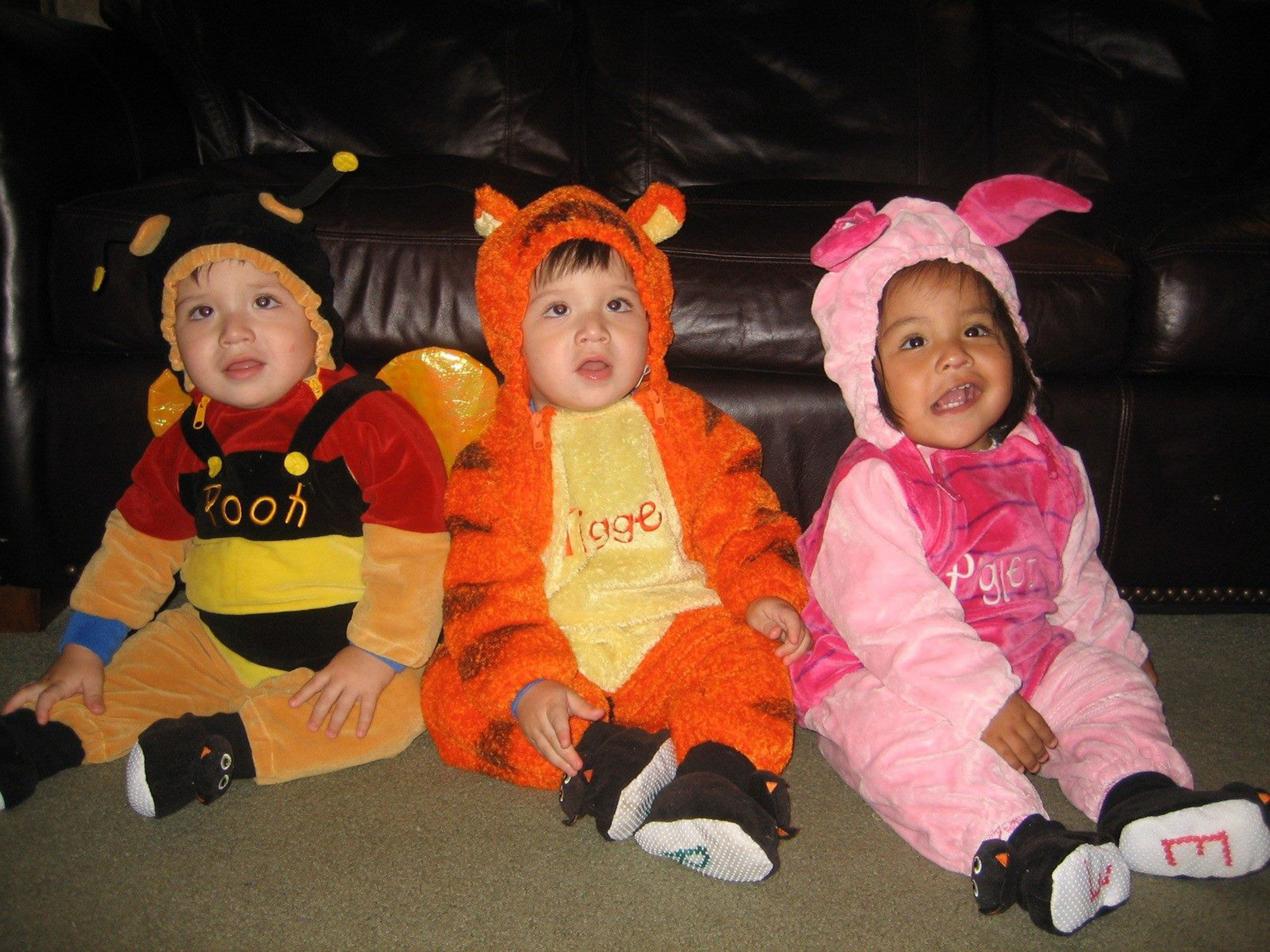 winnie the pooh tigger and piglet costumes