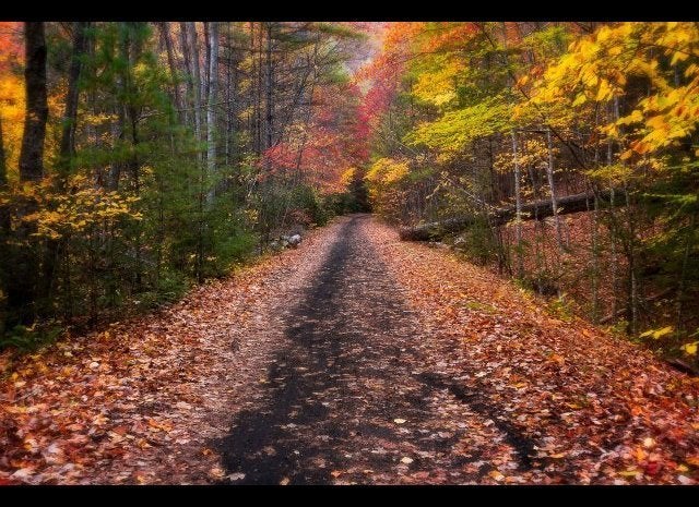 The Virginia Creeper Trail