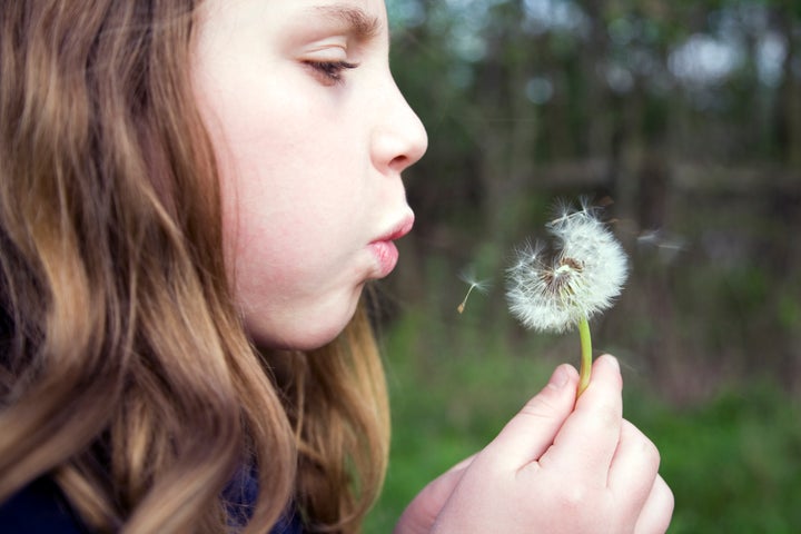 Girl blowing dandelion seeds