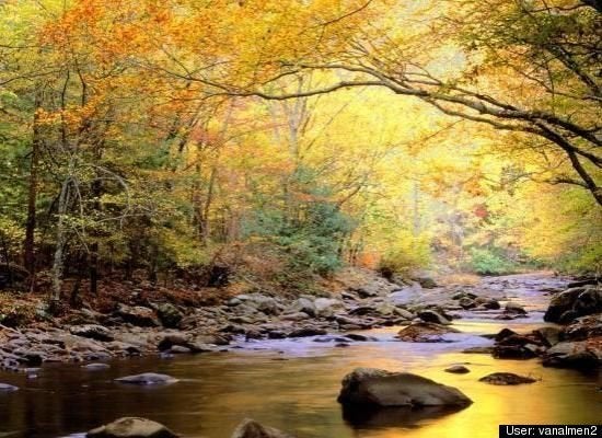 Great Smoky Mountains National Park