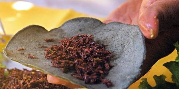 MEXICO CITY, MEXICO: Florentino Azpetia, chef at Girasoles restaurant in Mexico City, prepares a grasshopper taco (taco de chapulines), a typical Mexican delicacy, in the restaurant's kitchen 19 October 2001. Maggots (gusanos del maguey), grasshoppers (chapulines) and white ant eggs (escamoles) form part of a Mexican specialty cuisine which features over 500 edible insects and bugs. AFP PHOTO/Jorge UZON (Photo credit should read JORGE UZON/AFP/Getty Images)