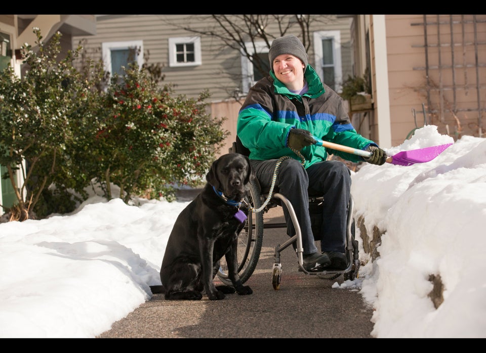 Service Dogs Are Not Pets.