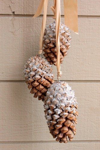 Snow-Dusted Pine Cones