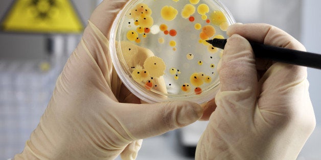 Drug Resistant Infections Could Kill 10 Million A Year By 2050 Huffpost Life