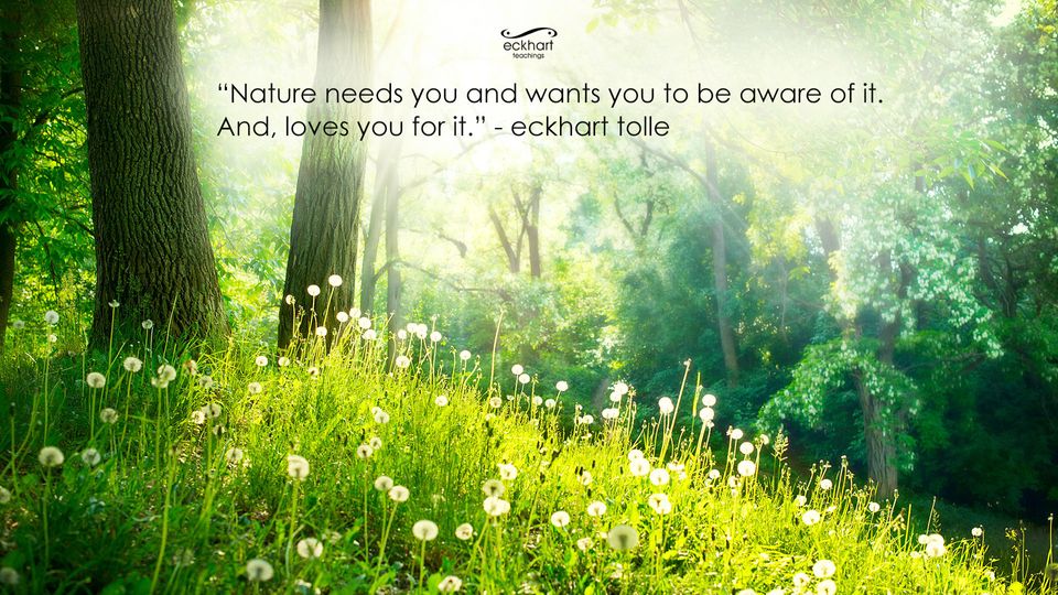 politik fortryde højt Eckhart Tolle's Guide To Finding Peace Through Nature | HuffPost Life