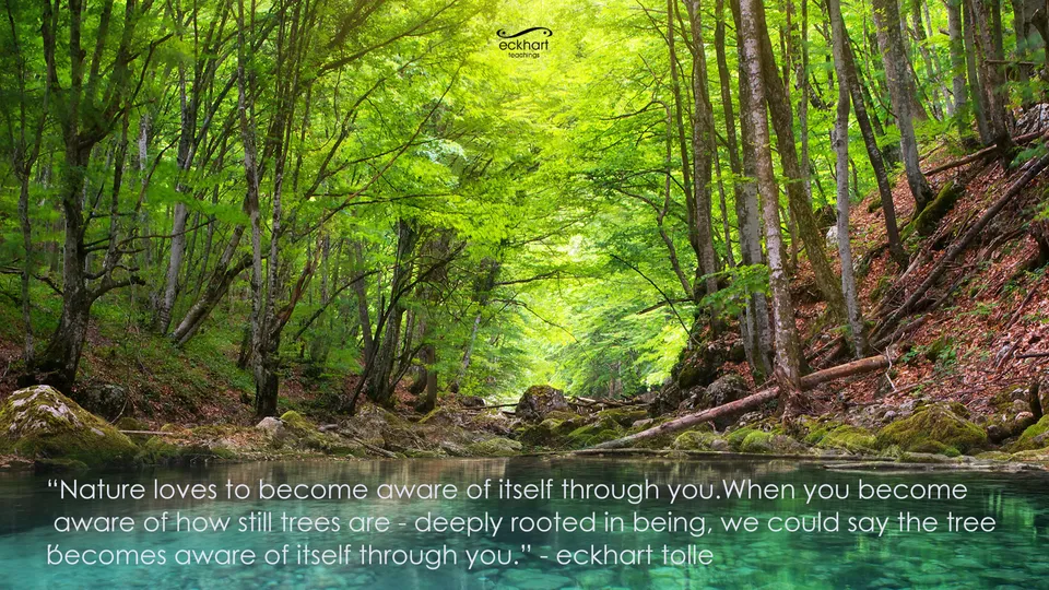 Eckhart Guide Finding Peace Through Nature | HuffPost Life