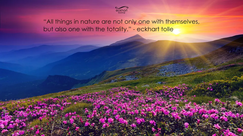 Eckhart Tolle S Guide To Finding Peace Through Nature Huffpost Life