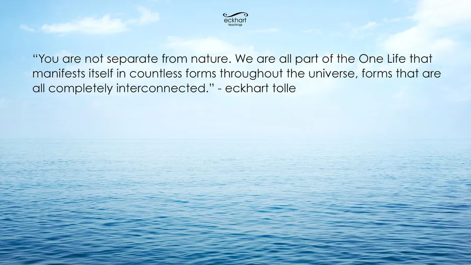 Eckhart Guide Finding Peace Through Nature | HuffPost Life
