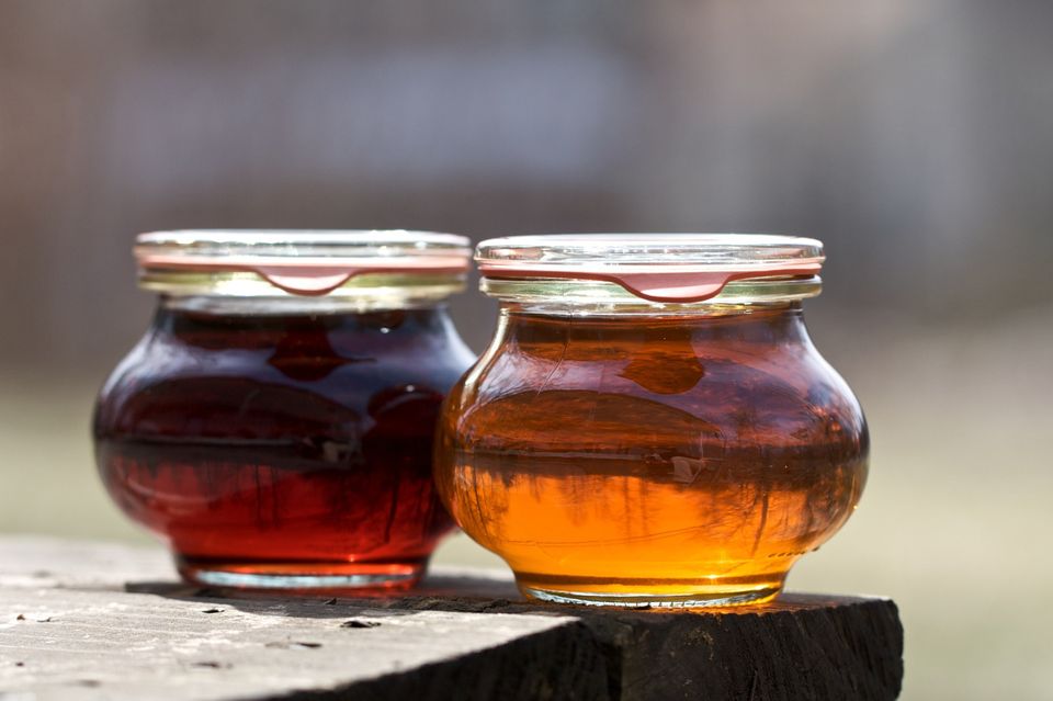 It takes 40 gallons of sap to make one single gallon of maple syrup.