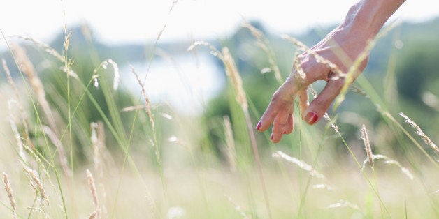 Woman touching tall grass