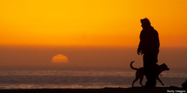 Man with dog admiring sunset on Pacific Coast at Monterey Bay