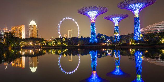 Gardens by the Bay reflecting in the water at night, Singapore, Southeast Asia, Asia