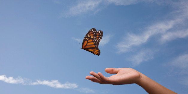 A woman's outstretched hand gently releases a monarch butterfly into the sky