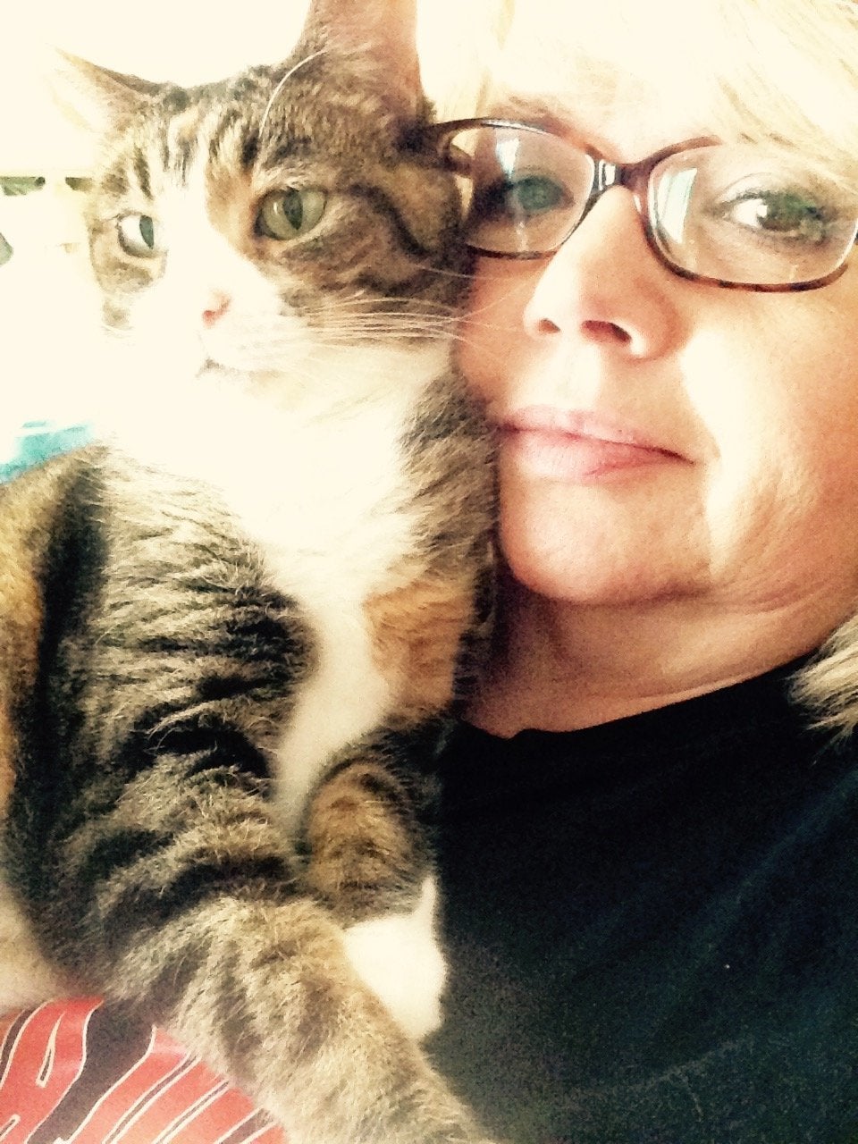 11 Reasons Your Crazy Cat Obsession Makes You Happier And Healthier Huffpost Life