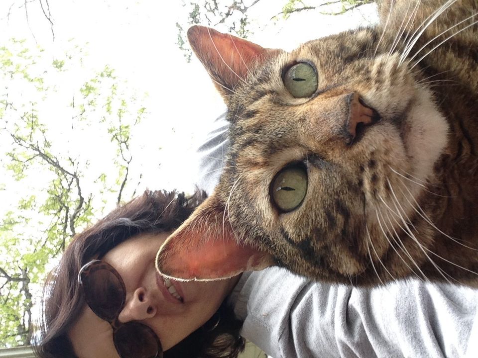 11 Reasons Your Crazy Cat Obsession Makes You Happier And Healthier Huffpost Life