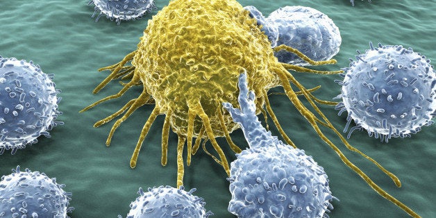 T-lymphocytes attack a migrating cancer cell.