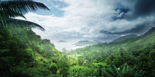 jungle of seychelles island